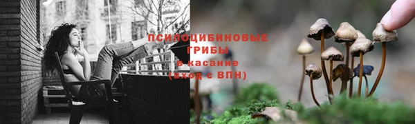 а пвп мука Белокуриха