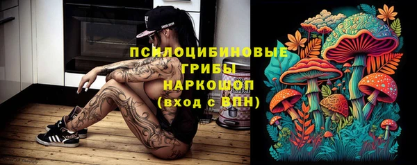 apvp Балабаново