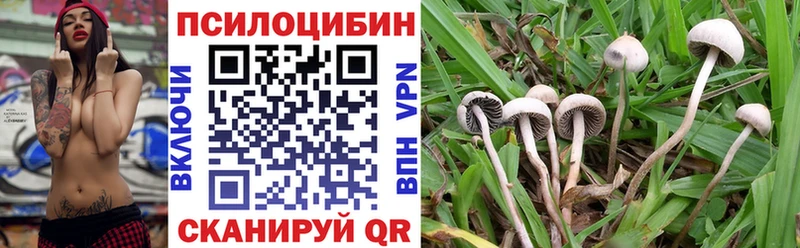 Галлюциногенные грибы прущие грибы Сегежа