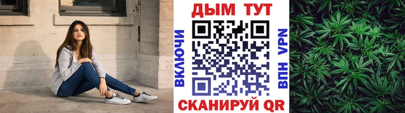 Бошки Шишки план Сегежа